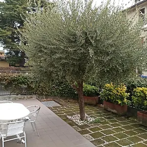 Almerina Bardolino
